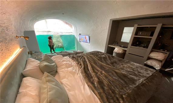 افتتاح یک هتل زیرآبی در باغ وحشی در بلژیک