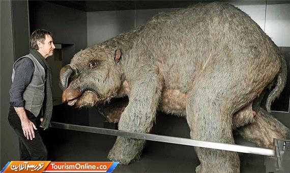 بقایای جانور عظیم‌الجثه 25 میلیون ساله در استرالیا یافت شد!