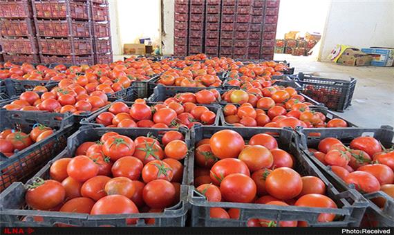 عراق از ایران 100 میلیون دلار گوجه‌فرنگی و هندوانه خرید