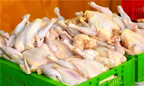 وعده وزیر کشاورزی برای ثبات قیمت مرغ تا عید