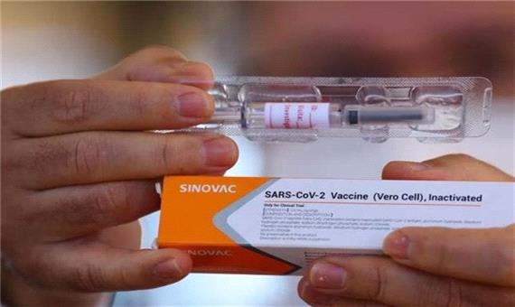 سینواک چین 43 میلیون دوز واکسن کرونا توزیع کرد
