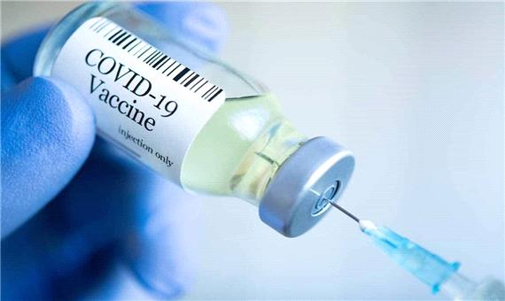 واکسن ارزان ویروس کرونا در حال آزمایش است