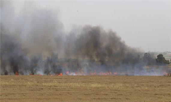 اعتراف صهیونیست‌ها به 35 مورد آتش سوزی در جنوب اسرائیل