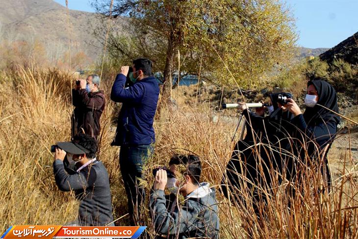 برگزاری تور پرنده‌نگری در شهرستان لنجان