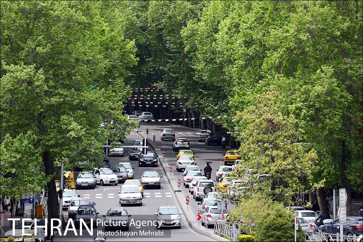 آغاز داوری عکس های دوره اول کارگاه خیابان ولیعصر