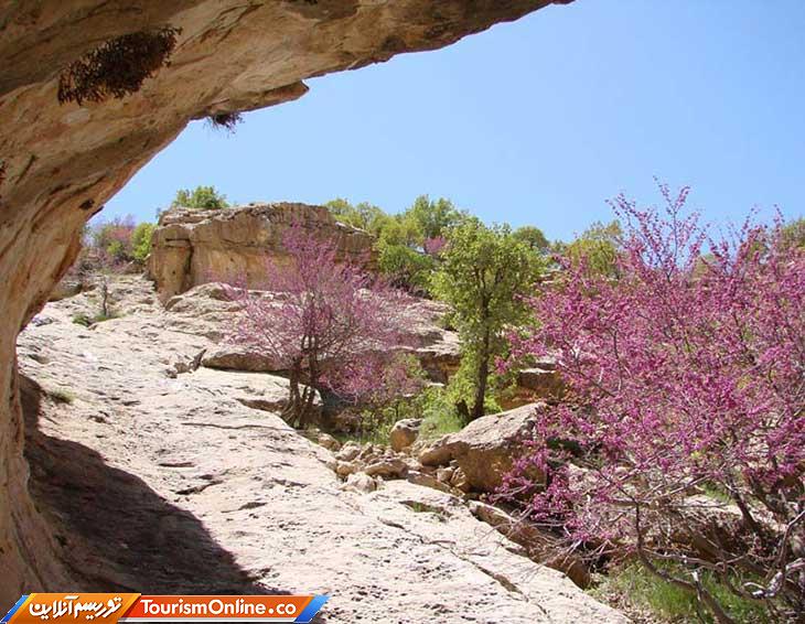 به تماشای تابلوی ارغوانی ایلام بنشینید