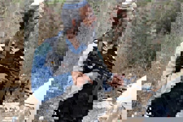 شهرک‌نشینان ۱۵۰ رأس گوسفند را در کرانه باختری دزدیدند