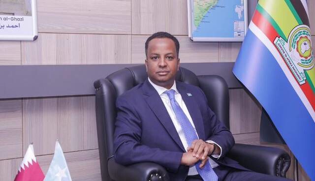 سومالی خواستار لغو فوری شناسایی «سومالی‌لند» توسط تل‌آویو شد