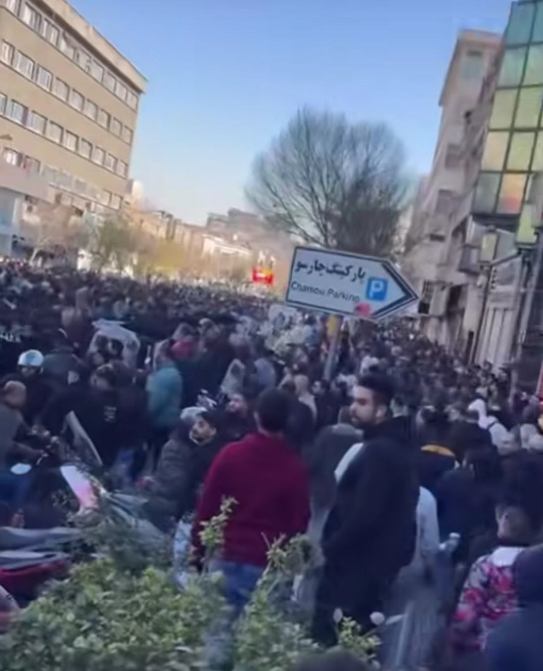 ایرانیان جهان