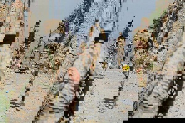 مزدوران عربستان کنترل «المکلا» را به دست گرفتند