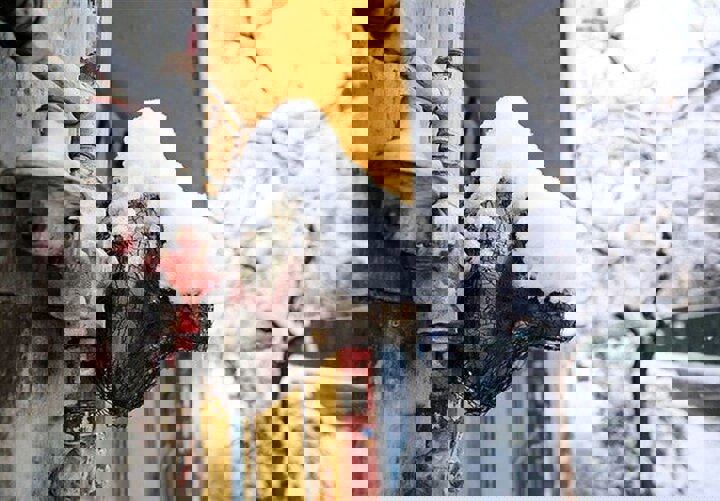 صدور قبض گاز یک میلیارد تومانی برای یک برج مسکونی ۶۵ واحدی