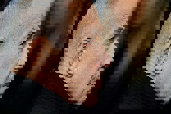 ترامپ بار دیگر خواستار عفو نتانیاهو شد