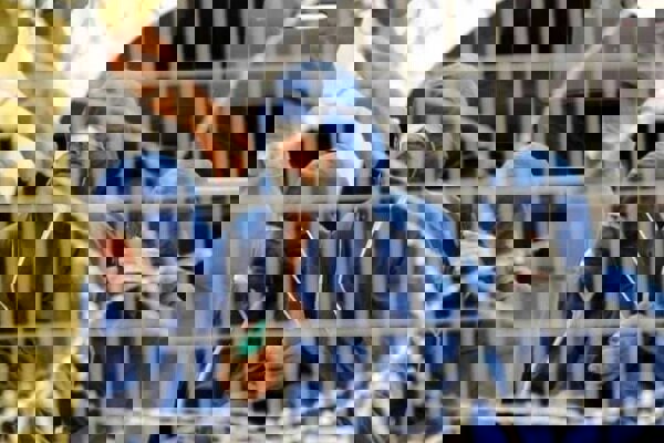 یورش وزیر صهیونیست به محل نگهداری اسیران فلسطینی محکوم است