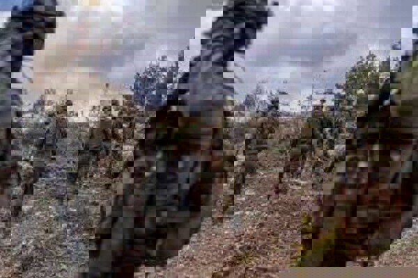 نظامیان اسرائیلی ۳ جوان سوری را در جنوب سوریه ربودند