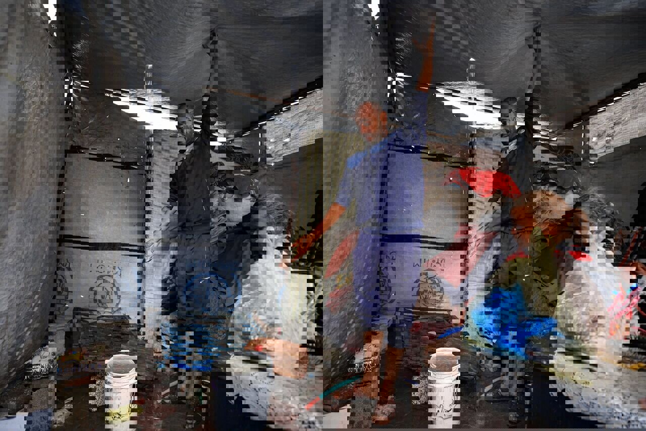 عزم فلسطینیان برای ماندن در غزه و شکست پروژه کوچ اجباری