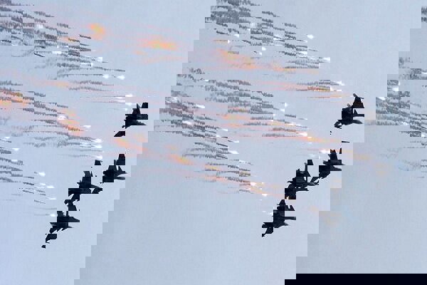 تقابل جنگنده‌های آمریکایی و چینی در نزدیکی شبه‌جزیره کره