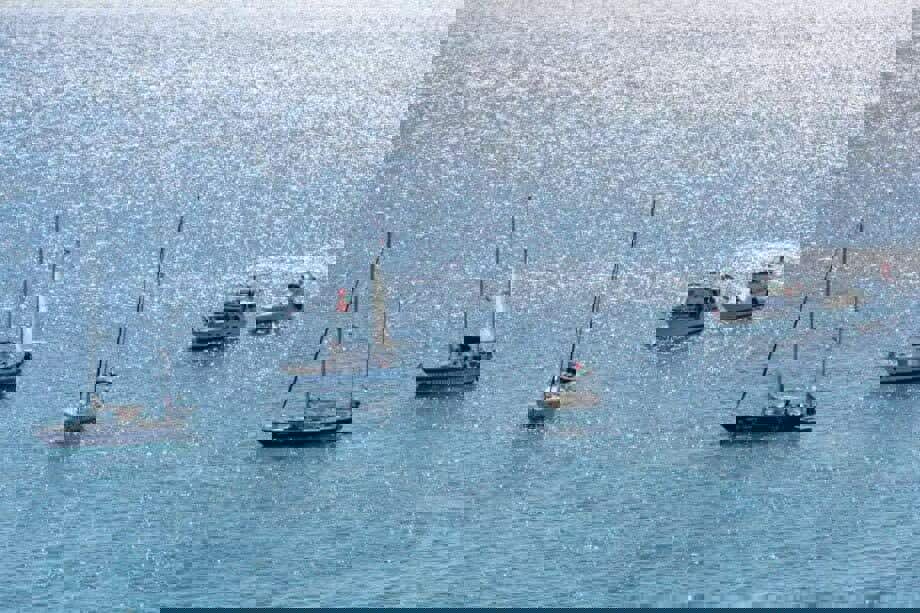 ناوگان صمود اعلام کرد؛ حرکت یک ناوگان تاریخی و استثنایی به سمت غزه