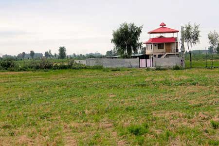 اراضی کشاورزی در خطر تغییر کاربری