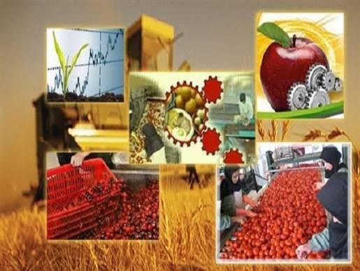 تاثیر حفظ نیروی جوان بر اقتصاد روستا