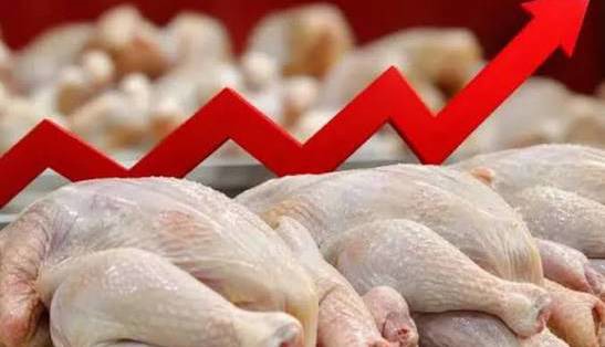 قیمت گوشت مرغ در بازار چند؟