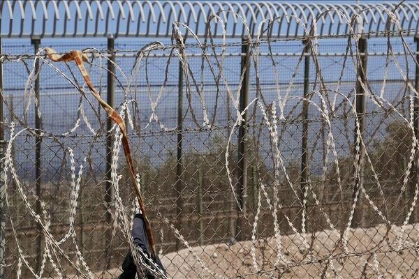 تداوم حضور مهاجران غیرقانونی در آلمان باوجود اصلاح نظام پناهندگی