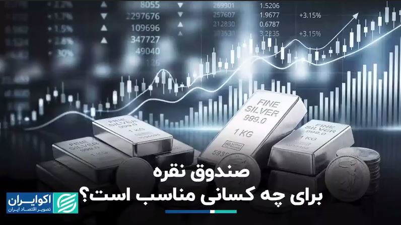 صندوق نقره برای چه کسانی مناسب است؟