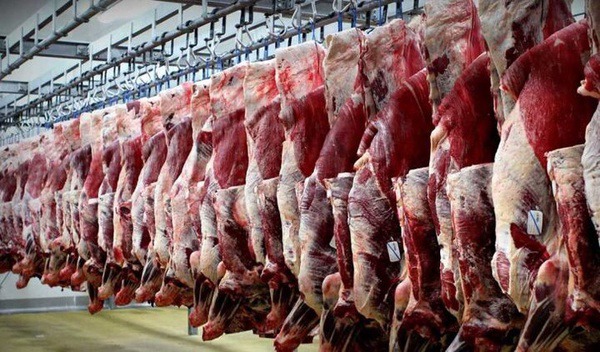 قیمت گوشت قرمز در بازار