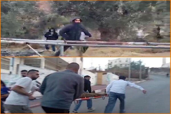 حمله‌ور شدن صهیونیستها به خانواده فلسطینی هنگام برداشت زیتون